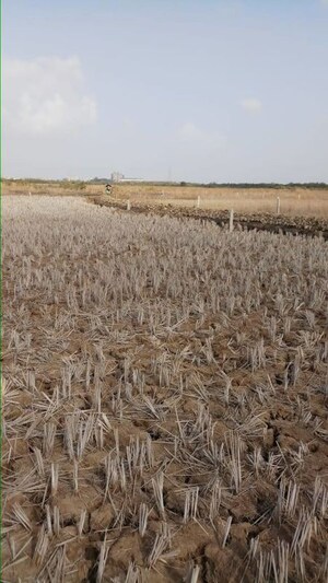 Plot Area in  Plot at Pen – for Sale