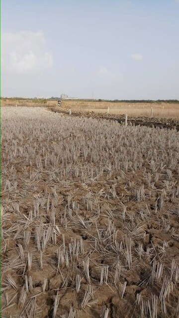 Plot Area in  Plot at Pen – for Sale