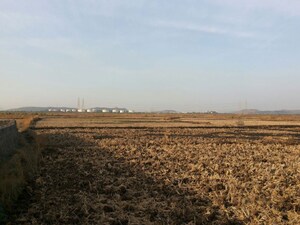 Plot Area in  Plot at Pen – for Sale