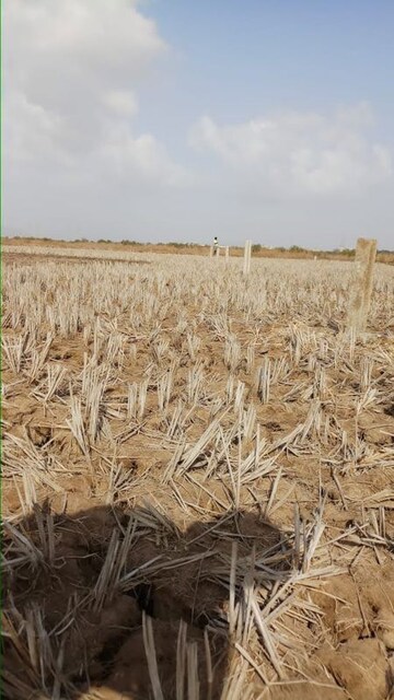 Plot Area in  Plot at Pen – for Sale