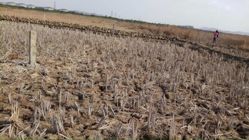 Plot Area in  Plot at Pen – for Sale