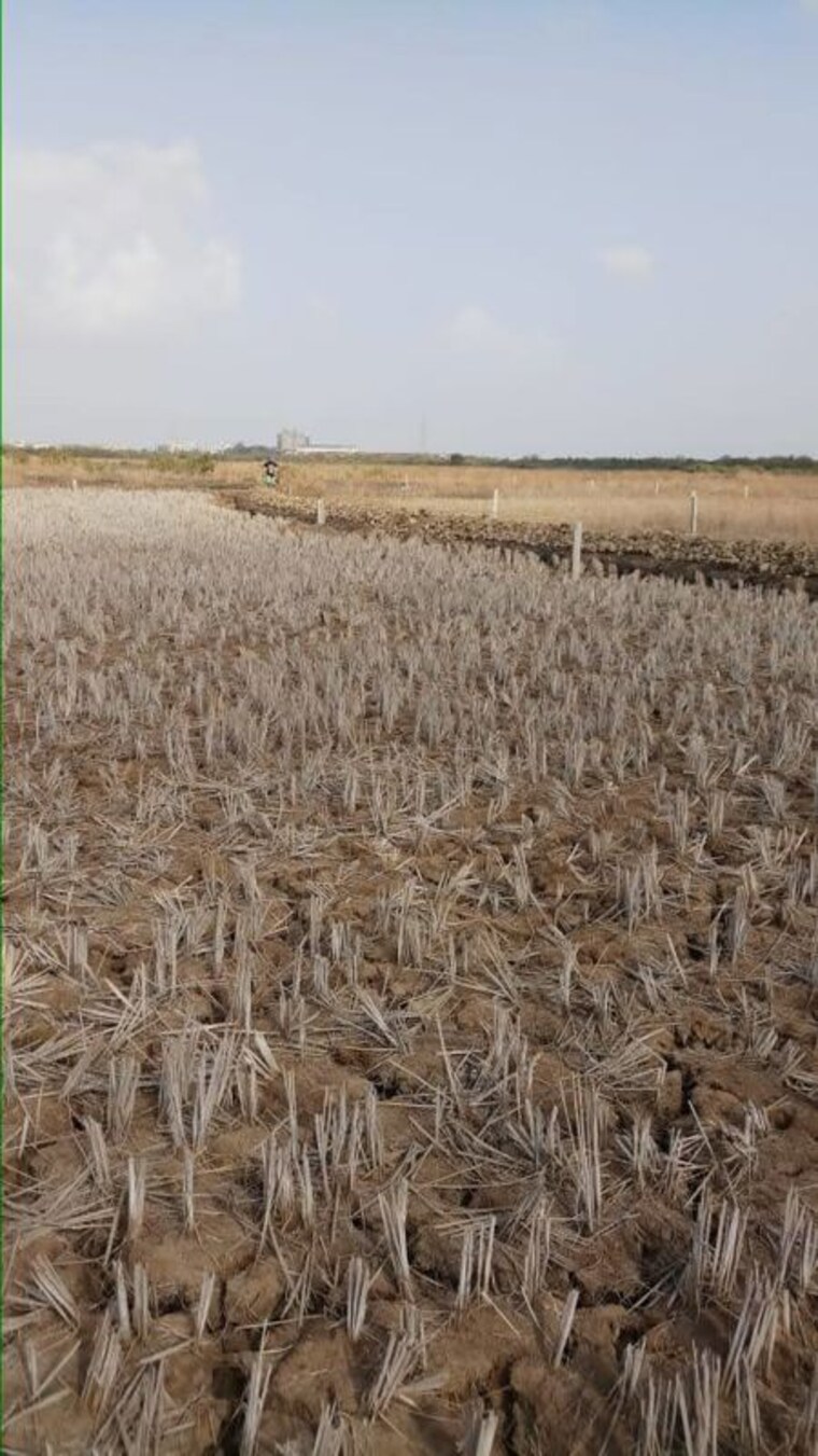 undefined, pen  6000 Sq.Yd. Plot In Pen Navi Mumbai 9826445