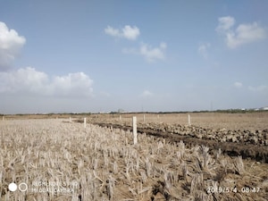 Plot Area in  Plot at Pen – for Sale