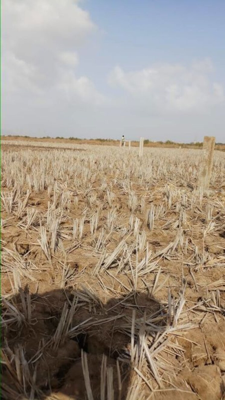 undefined, pen  7000 Sq.Yd. Plot In Pen Navi Mumbai 9826451