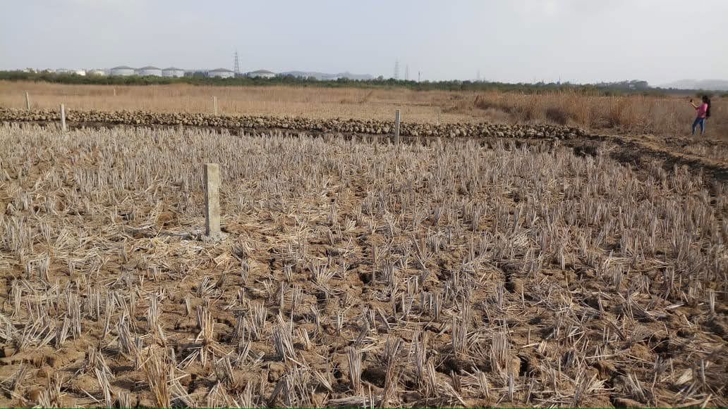 Plot For Sale in Pen