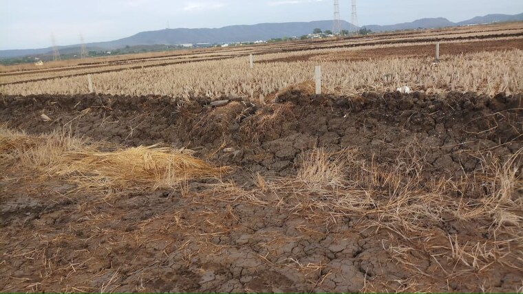 undefined, uran  1000 Sq.Yd. Plot In Uran Navi Mumbai 9826458