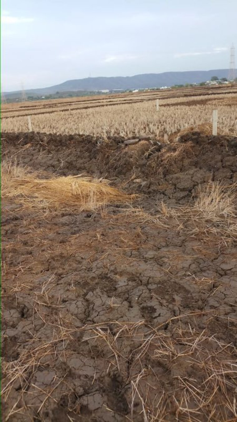 undefined, uran  1000 Sq.Yd. Plot In Uran Navi Mumbai 9826458