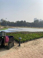 4 BHK + Servant Room,Extra Room 4285 Sq.Ft. Apartment in Elan The Statement