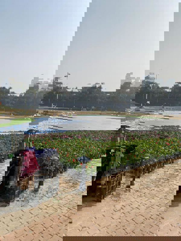 4 BHK + Servant Room,Extra Room Apartment For Sale in Elan The Statement