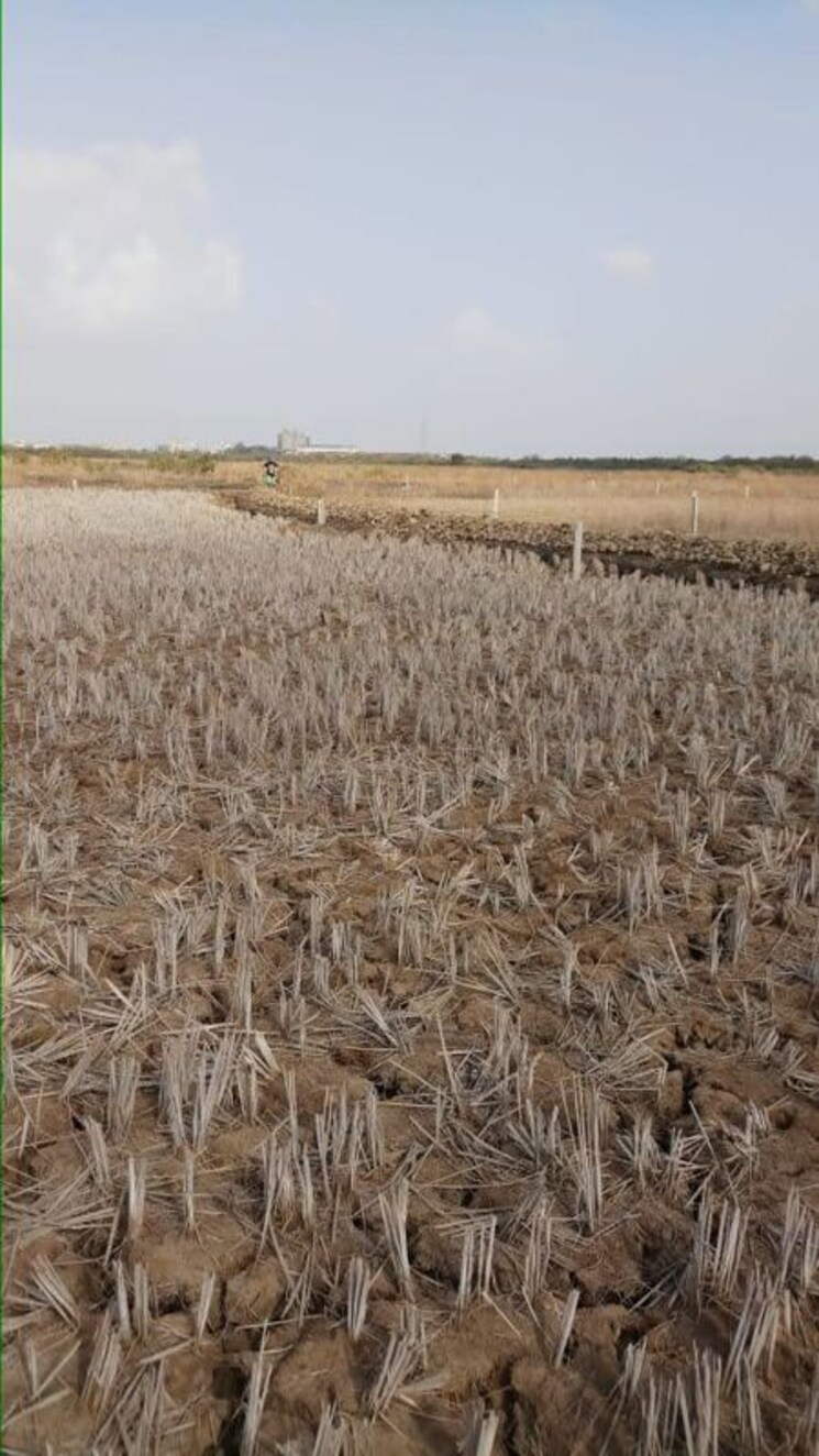 undefined, uran  1000 Sq.Yd. Plot In Uran Navi Mumbai 9826522