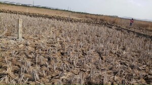 Plot Area in  Plot at Uran – for Sale