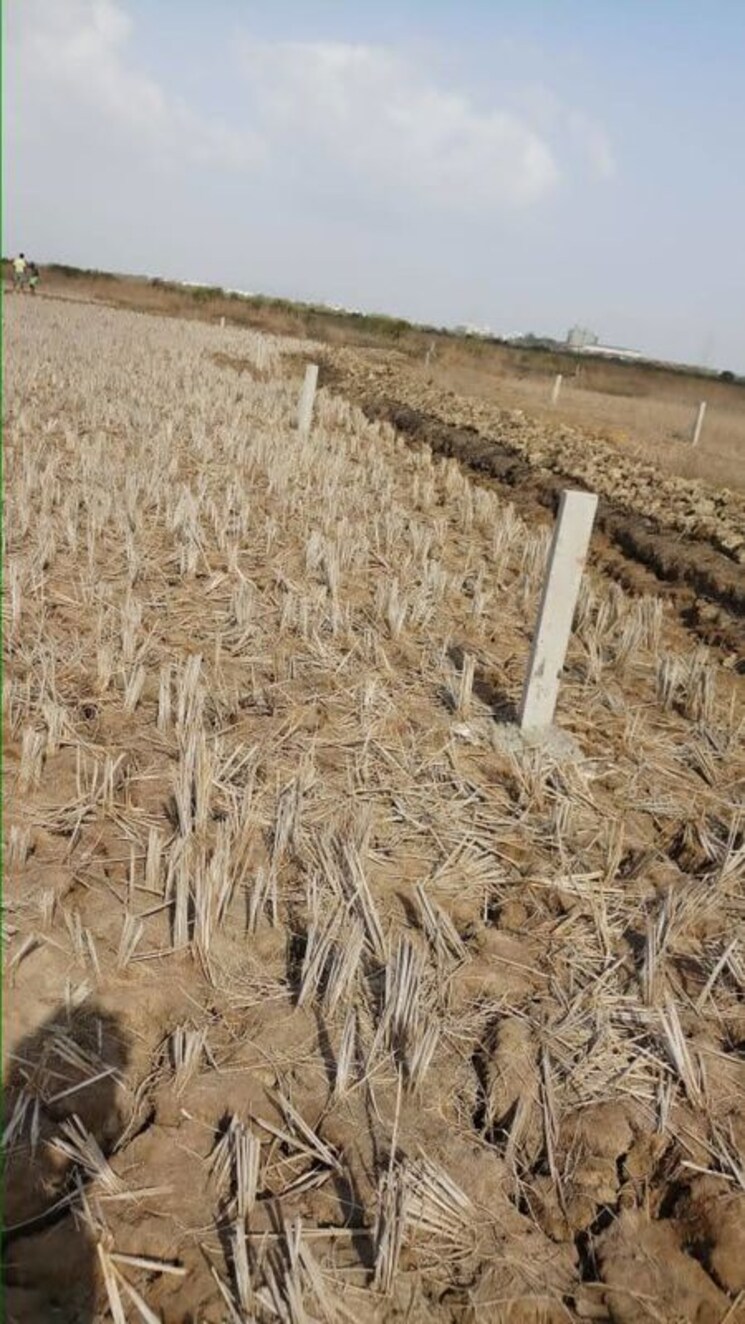 undefined, uran  1000 Sq.Yd. Plot In Uran Navi Mumbai 9826522