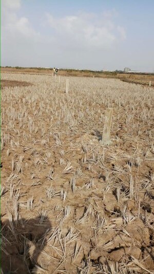 Plot Area in  Plot at Vindhane – for Sale