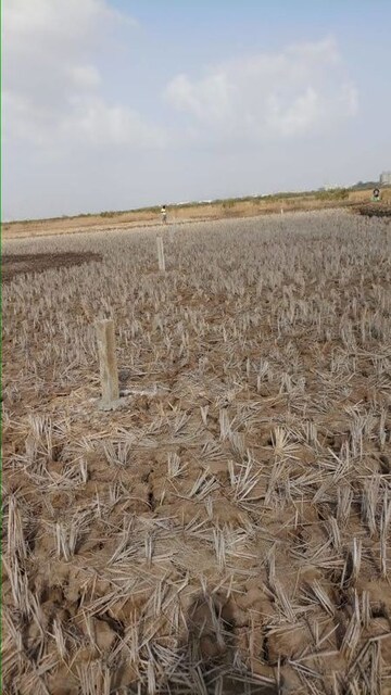 Plot Area in  Plot at Vindhane – for Sale