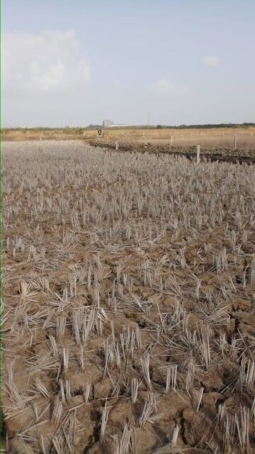 Plot Area in  Plot at Pen – for Sale