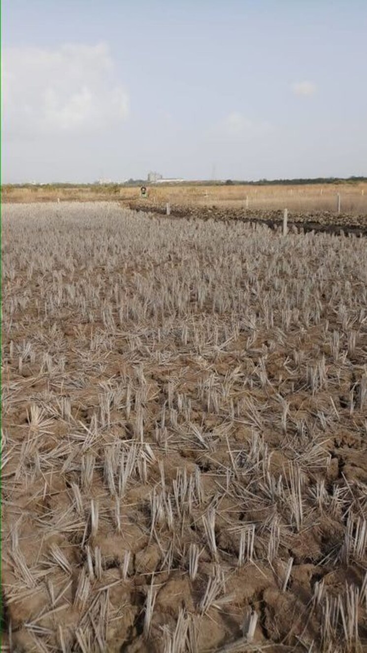 undefined, pen  8000 Sq.Yd. Plot In Pen Navi Mumbai 9826532