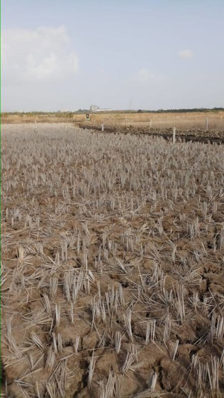 undefined, pen  8000 Sq.Yd. Plot In Pen Navi Mumbai 9826532