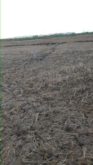 Plot Area in  Plot at Pen – for Sale