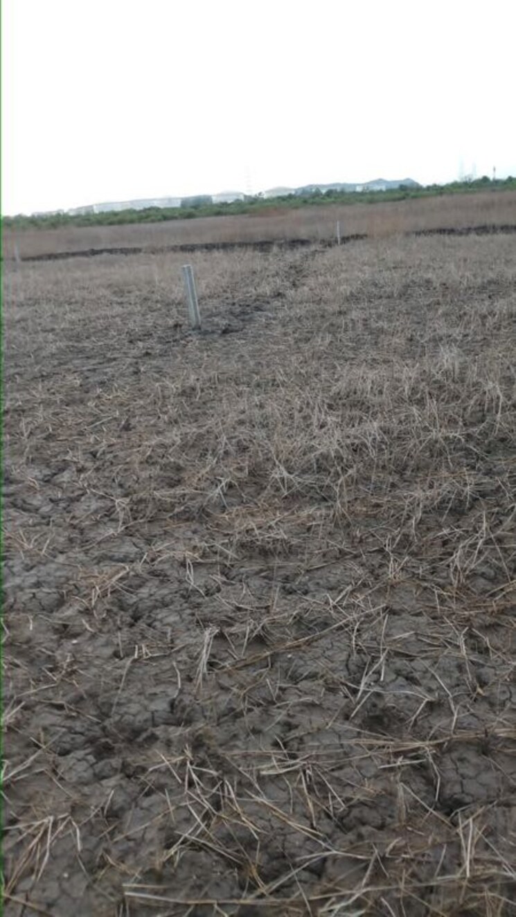 undefined, pen  8000 Sq.Yd. Plot In Pen Navi Mumbai 9826532