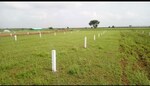 8000 Sq.Yd. Plot in Pen