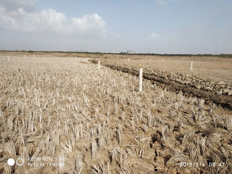 undefined, chirner  6000 Sq.Yd. Plot In Chirner Navi Mumbai 9826537