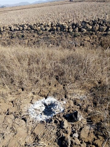 Plot Area in  Plot at Chirner – for Sale