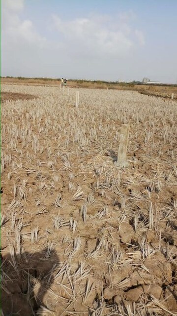 Plot Area in  Plot at Chirner – for Sale