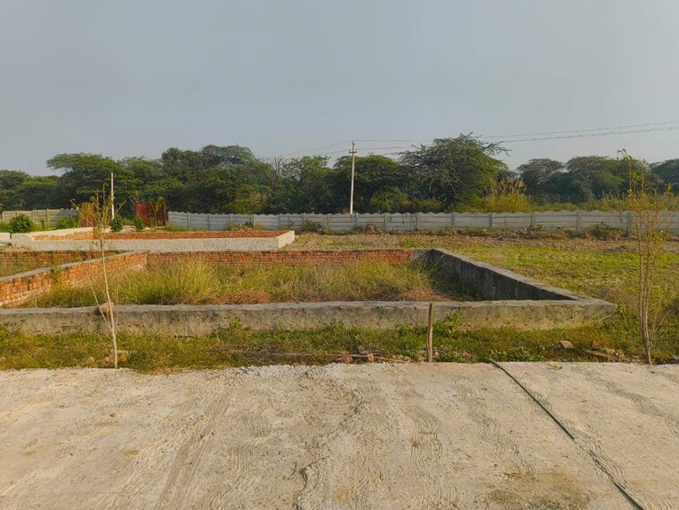 undefined, dadri  100 Sq.Yd. Plot In Dadri Greater Noida 9824309
