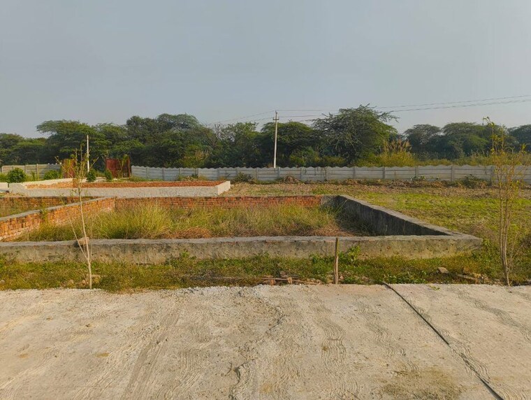 undefined, dadri  100 Sq.Yd. Plot In Dadri Greater Noida 9824309