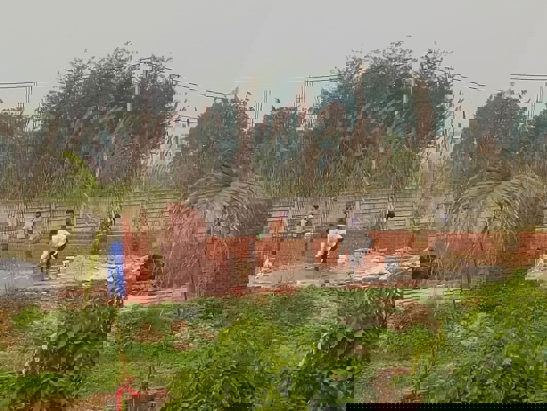 Plot For Sale in Dadri