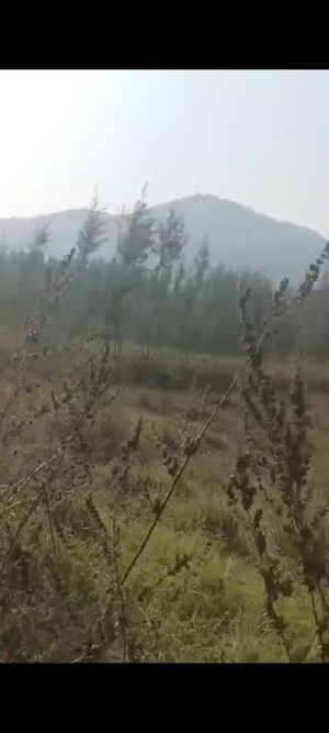 Plot Area in  Plot at Anakapalle – for Sale