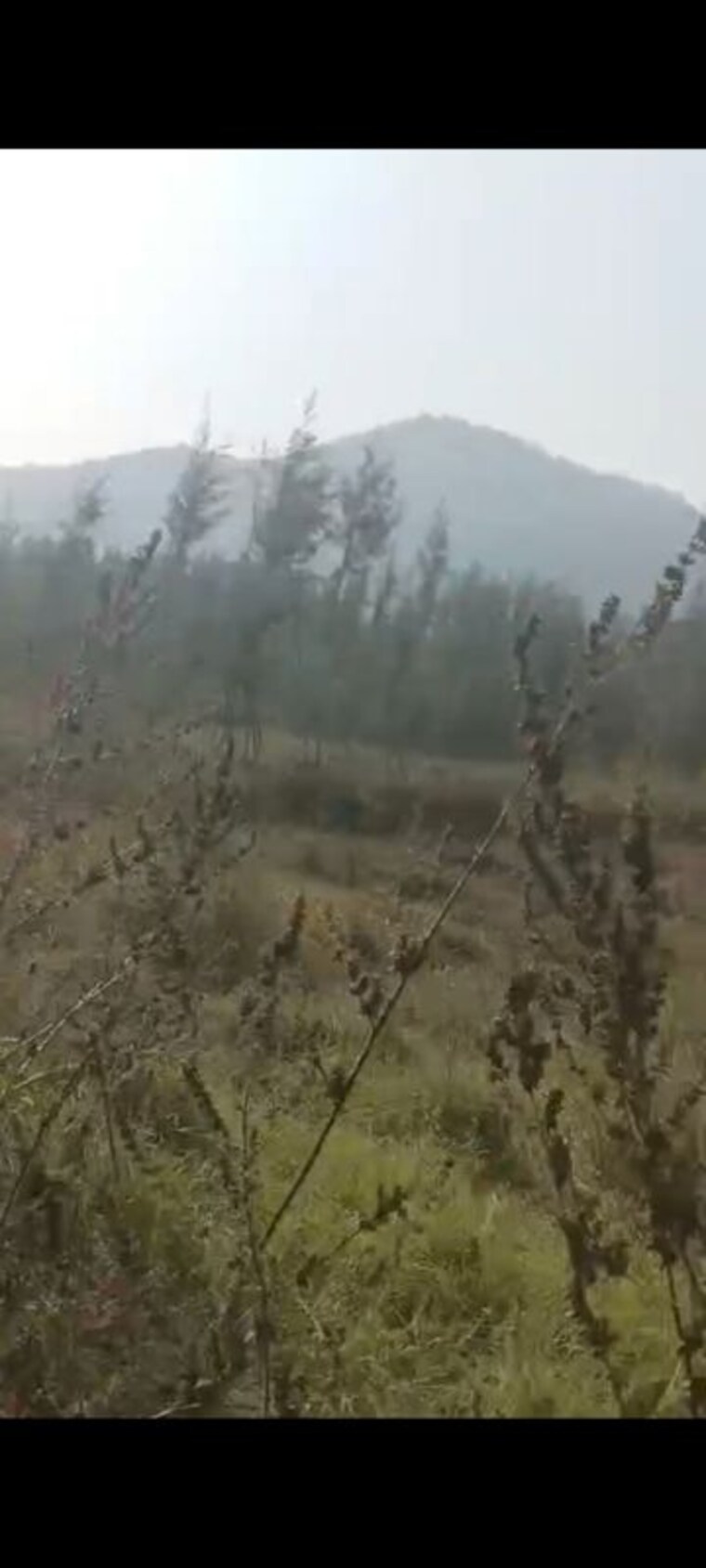 undefined, anakapalle  2 Acre Plot In Anakapalle Vizag 9826689