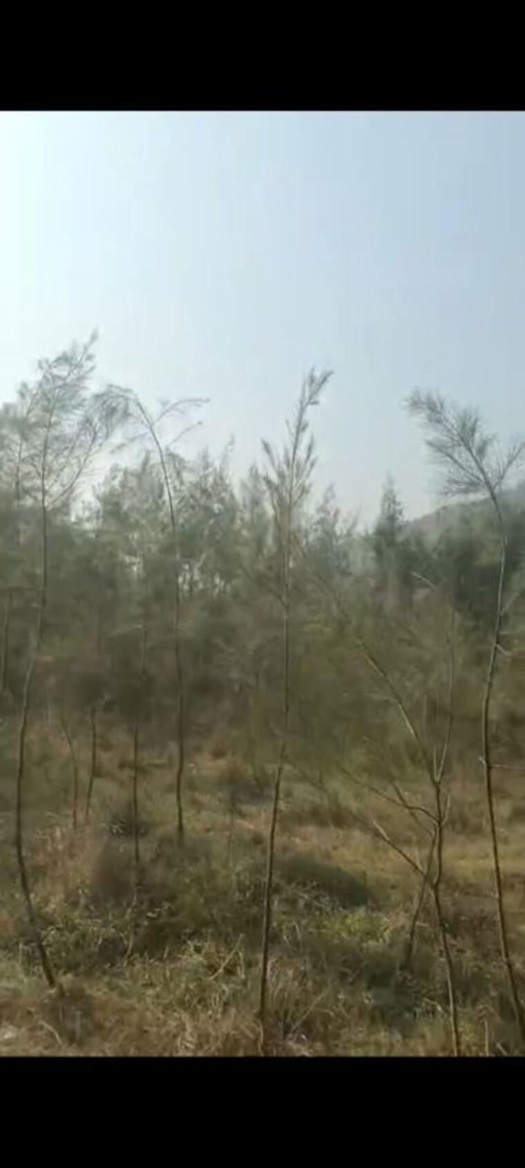 undefined, anakapalle  2 Acre Plot In Anakapalle Vizag 9826689