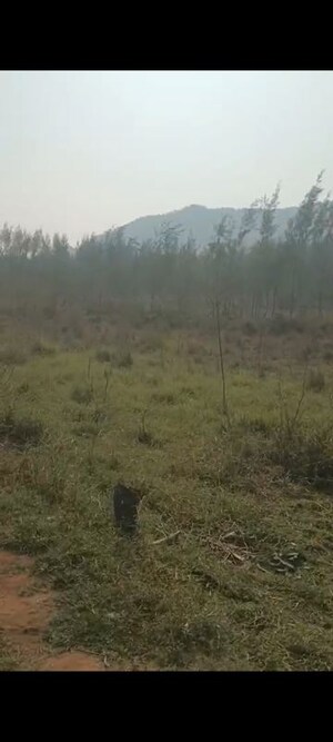 Plot Area in  Plot at Anakapalle – for Sale