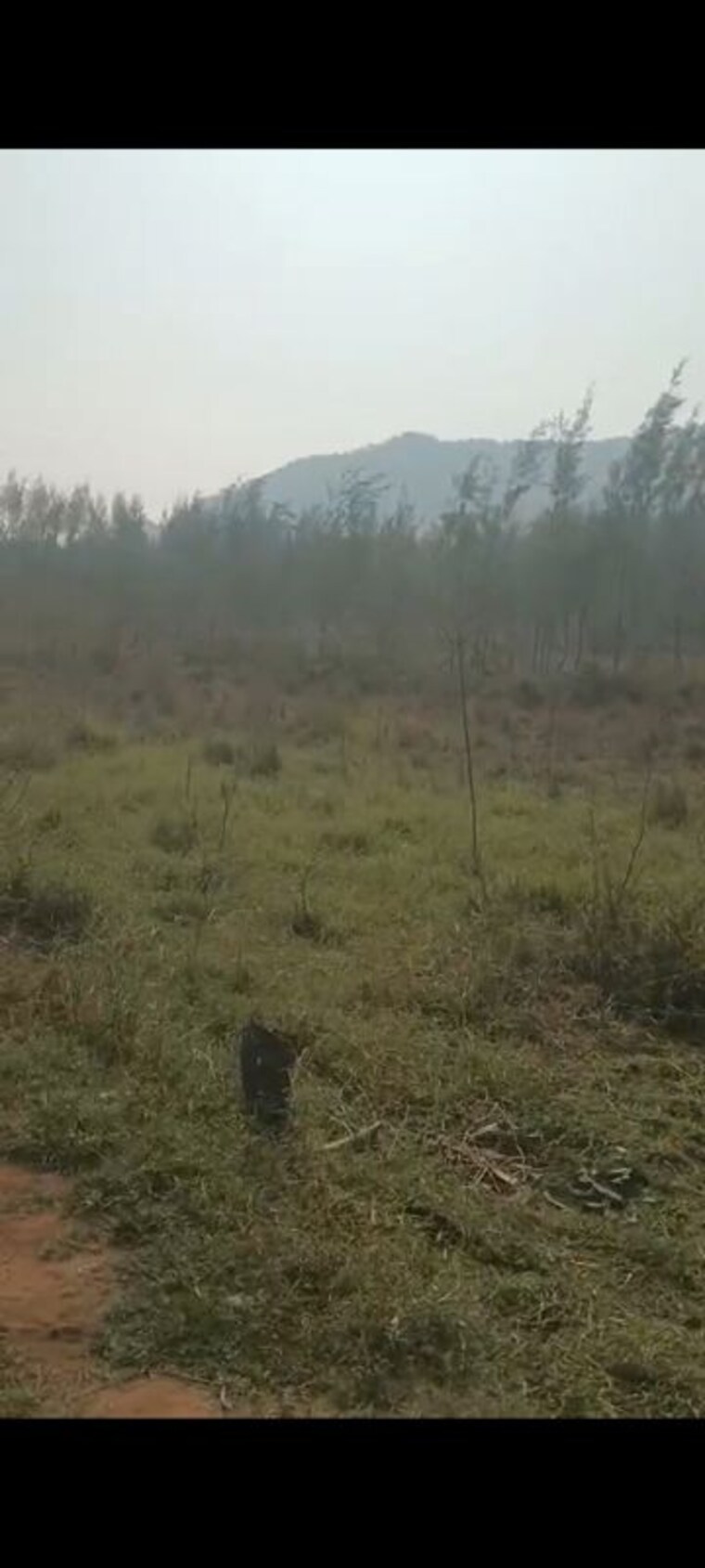 undefined, anakapalle  2 Acre Plot In Anakapalle Vizag 9826689