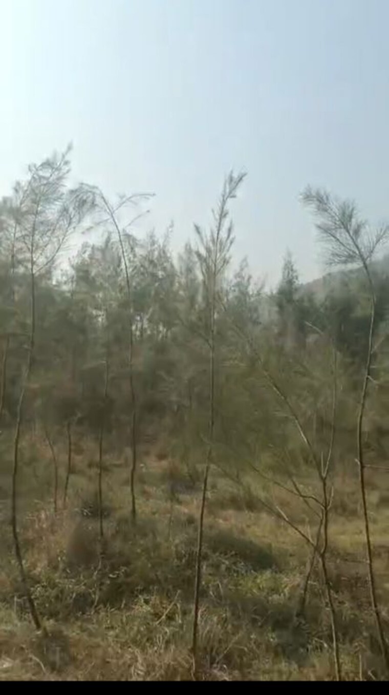 undefined, anakapalle  2 Acre Plot In Anakapalle Vizag 9826689