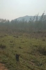 2 Acre Plot in Anakapalle
