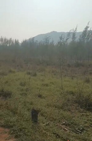  Plot For Sale in Anakapalle