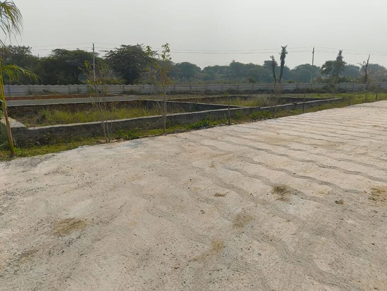 undefined, dadri  100 Sq.Yd. Plot In Dadri Greater Noida 9826695