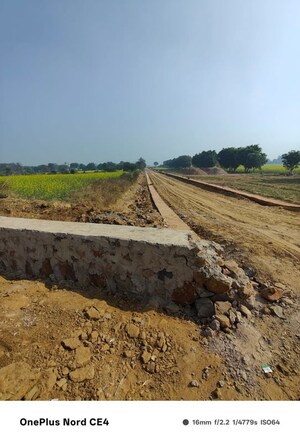 Plot Area in  Land at Sohna – for Sale