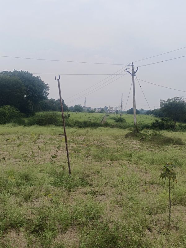 Plot For Sale in Tukkuguda