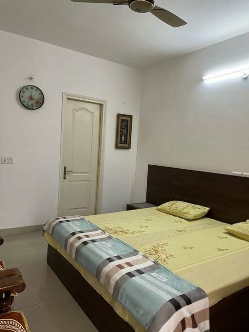 1 BHK Apartment For Rent in Stellar Jeevan