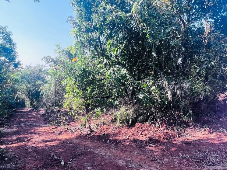 undefined, mangaon  5000 Sq.Ft. Plot In Mangaon Raigad 9826901