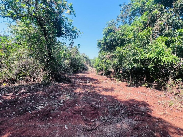 undefined, mangaon  10000 Sq.Yd. Plot In Mangaon Raigad 9826980