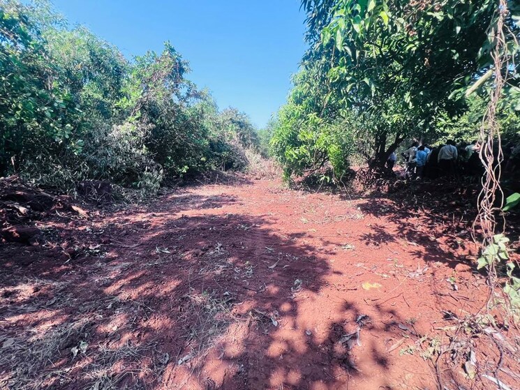 undefined, mangaon  10000 Sq.Yd. Plot In Mangaon Raigad 9826980