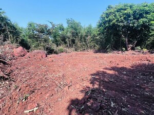 Plot Area in  Plot at Mangaon – for Sale