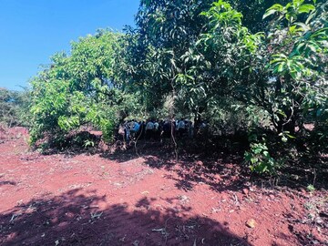  Plot – Exterior View View at Mangaon - for Sale