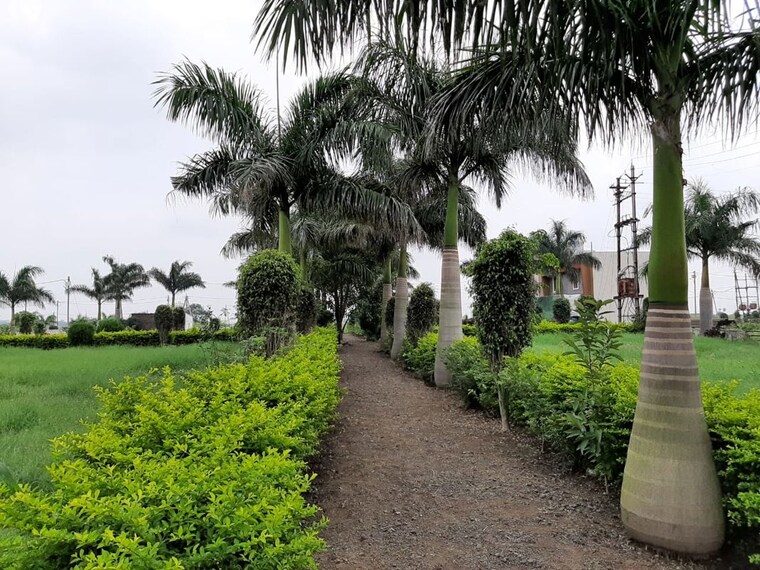 Garden, nainod  1261 Sq.Ft. Plot In Nainod Indore 8747549