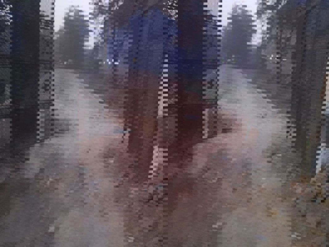 Plot For Sale in Arsha Madhav Greens