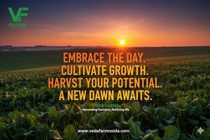  Plot – Exterior View View at Knowledge Park Ii Greater Noida - for Sale